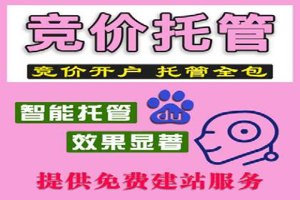 视频信息流广告投放的技巧与案例解析